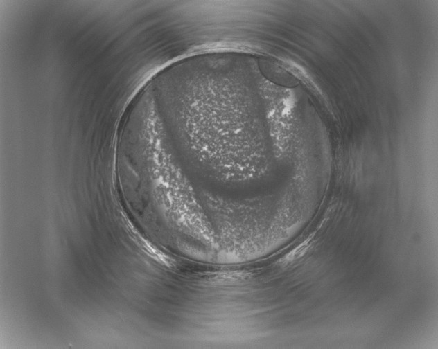 X0000055981228200509091944