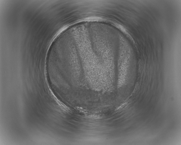 X0000055981229200509091945