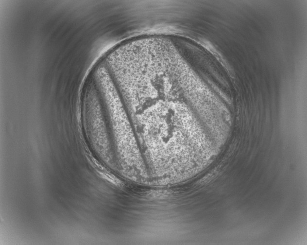 X0000055981232200509091945