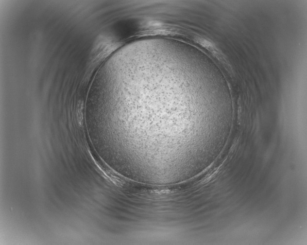 X0000055981233200509091945