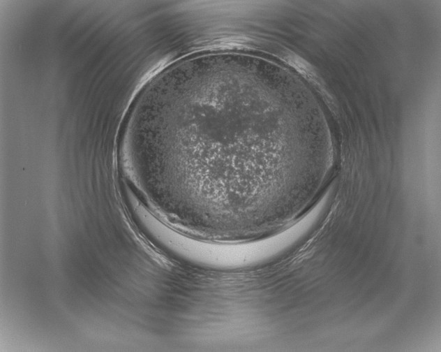 X0000055981234200509091945