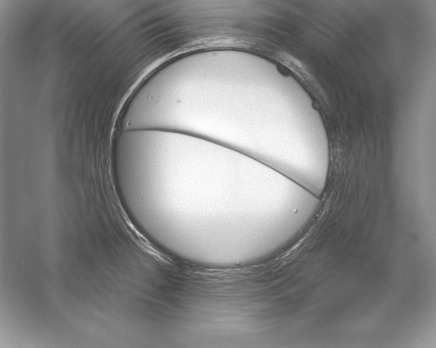 X0000055981236200509091945