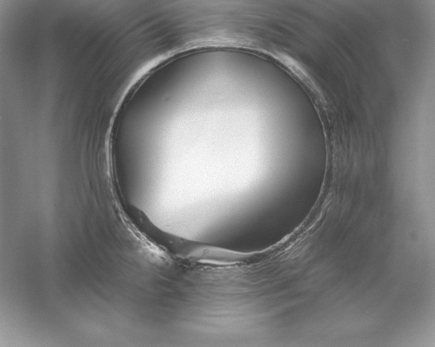 X0000055981238200509091945