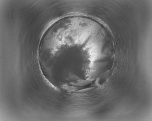 X0000055981239200509091945