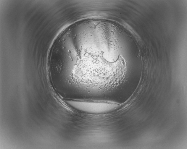 X0000055981240200509091945