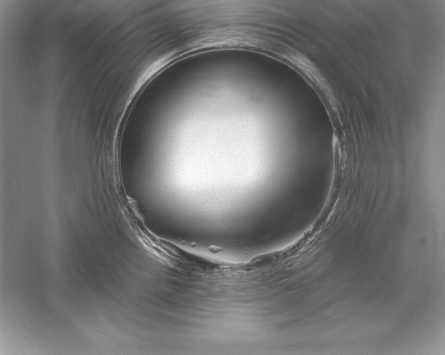 X0000055981242200509091945