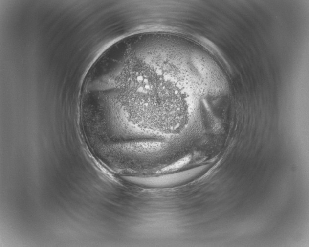 X0000055981244200509091945