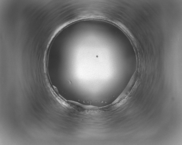 X0000055981246200509091945