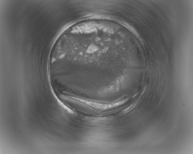 X0000055981247200509091945