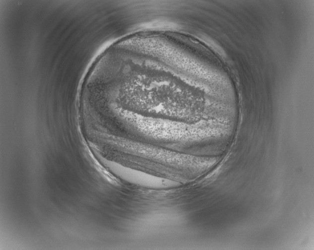 X0000055981248200509091945