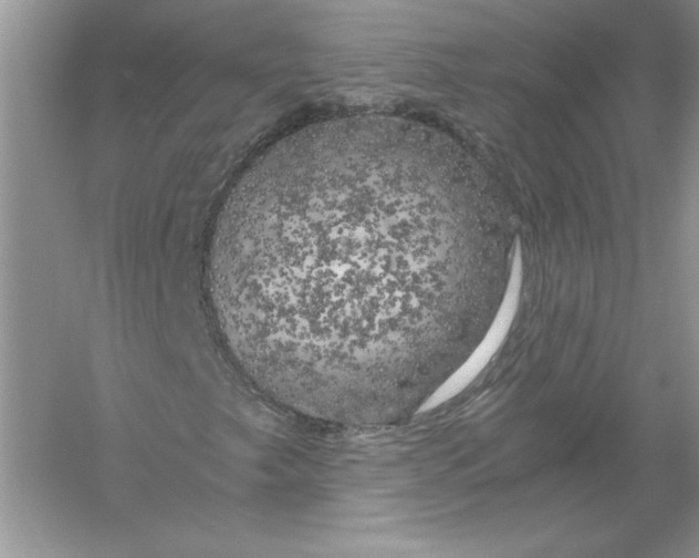 X0000055981249200509091944