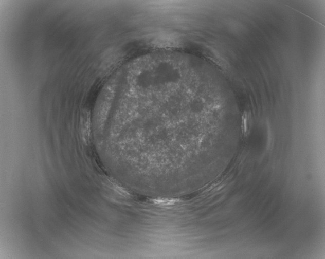 X0000055981251200509091944