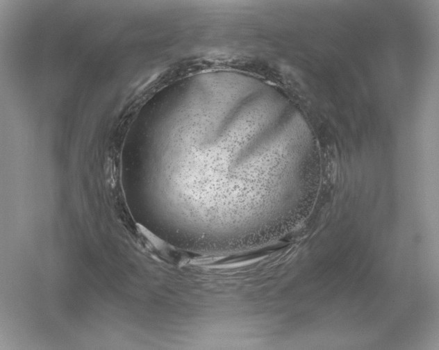 X0000055981253200509091944