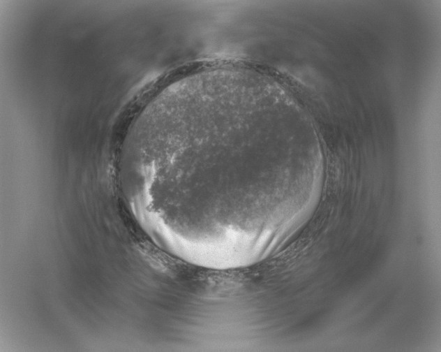 X0000055981254200509091944