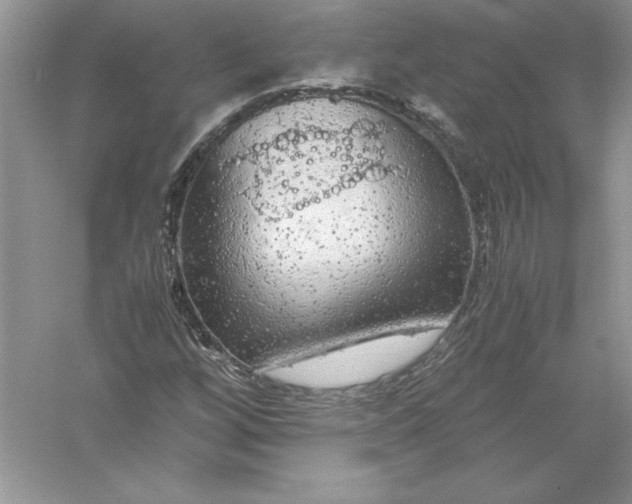 X0000055981256200509091944