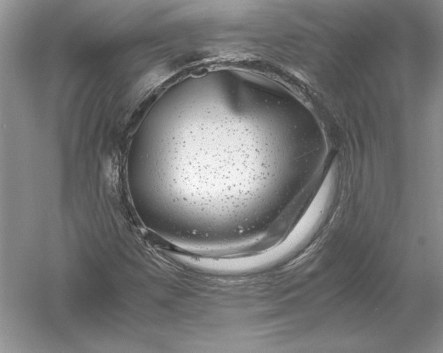 X0000055981257200509091944