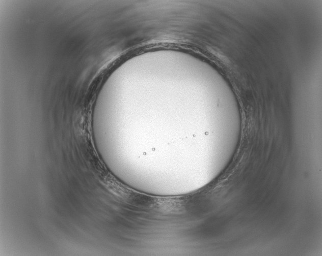 X0000055981258200509091944