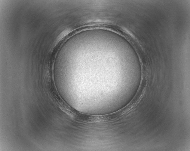 X0000055981259200509091944