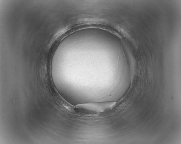 X0000055981261200509091944