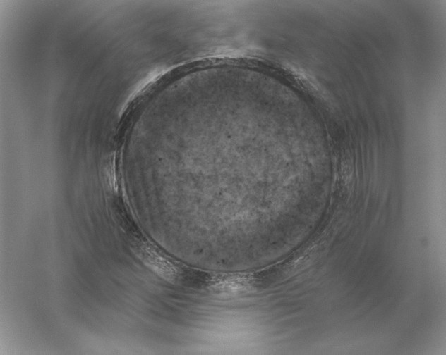 X0000055981262200509091944