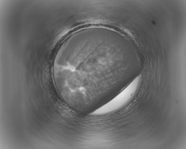 X0000055981263200509091944