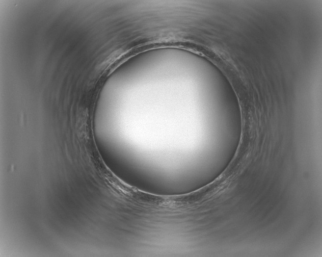 X0000055981265200509091944