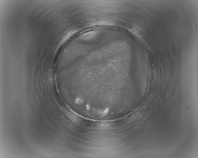 X0000055981266200509091944