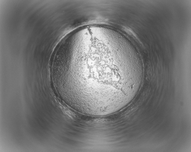 X0000055981268200509091944