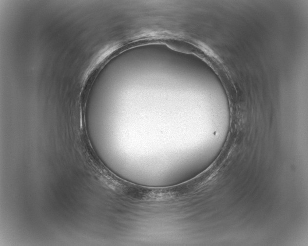 X0000055981269200509091944