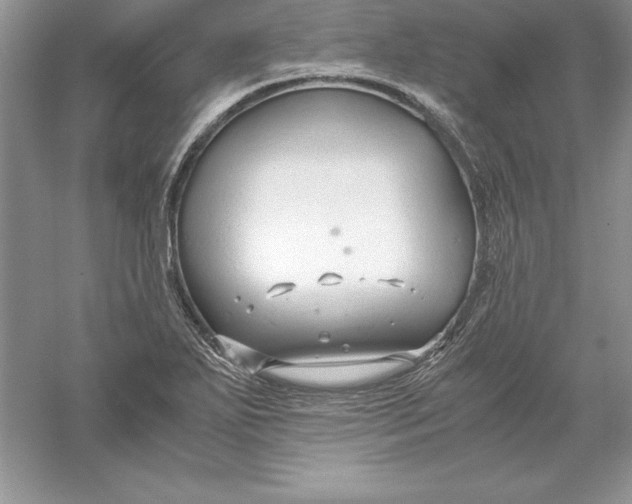 X0000055981271200509091944