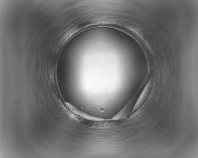 X0000055981273200509091944