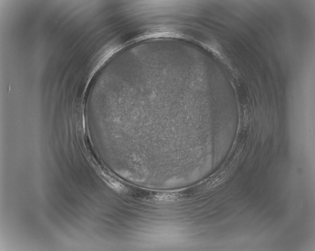 X0000055981274200509091944