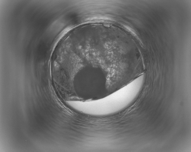 X0000055981275200509091944