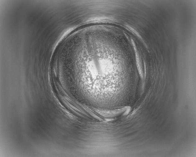 X0000055981277200509091944