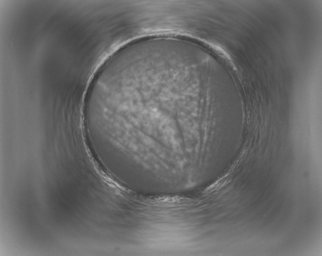 X0000055981279200509091944