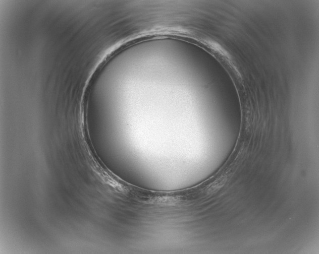 X0000055981280200509091943