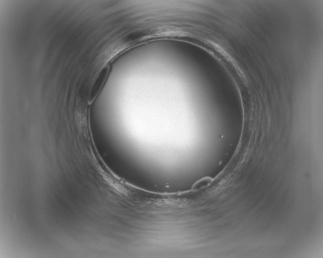 X0000055981281200509091943