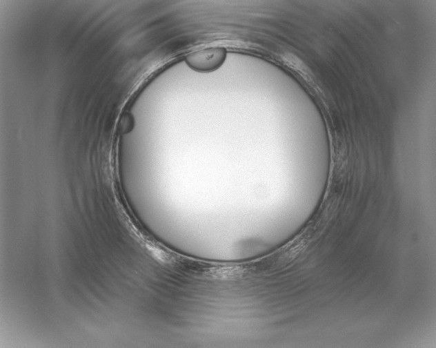 X0000055981282200509091943