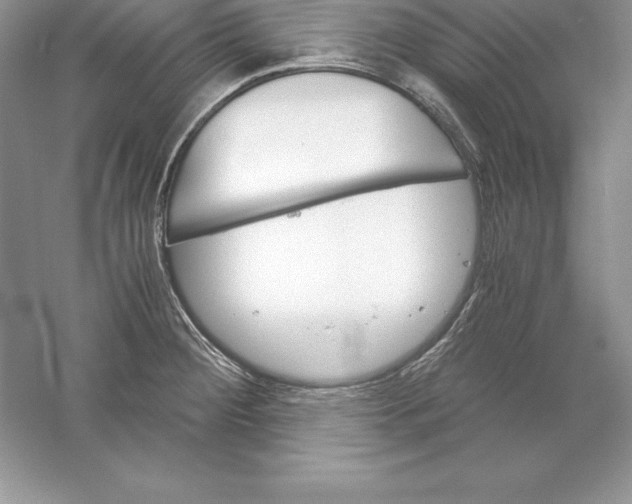 X0000055981284200509091943