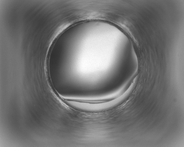 X0000055981285200509091943