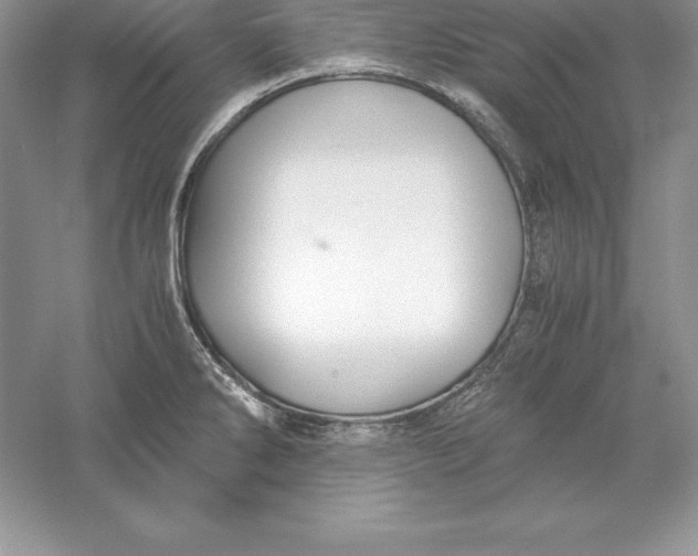 X0000055981286200509091943