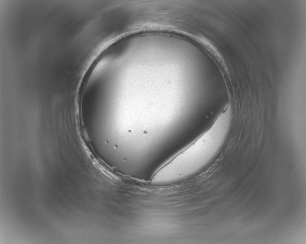 X0000055981287200509091943