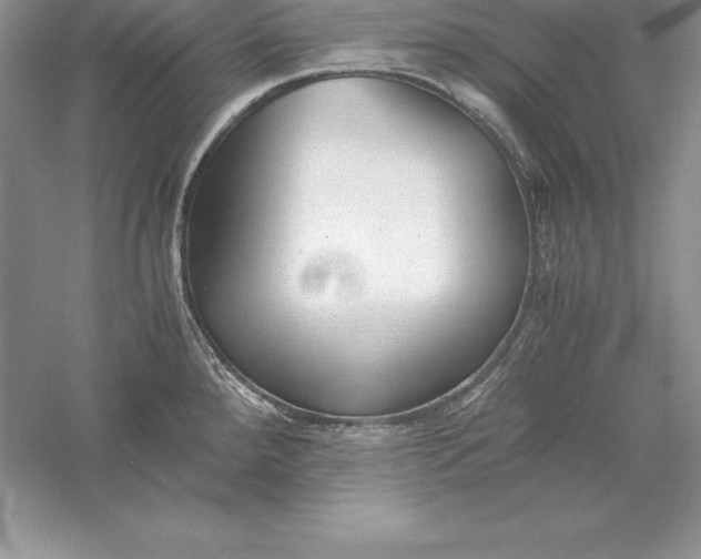 X0000055981288200509091943