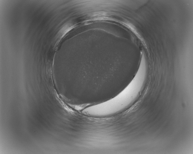 X0000055981289200509091943