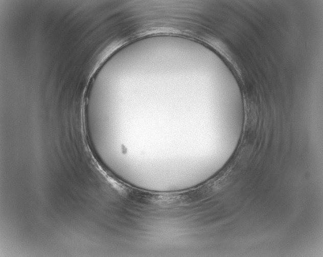 X0000055981290200509091943