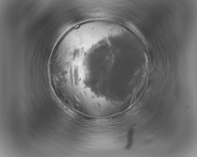 X0000055981291200509091943