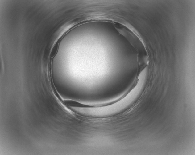 X0000055981293200509091943