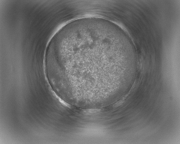 X0000055981294200509091943