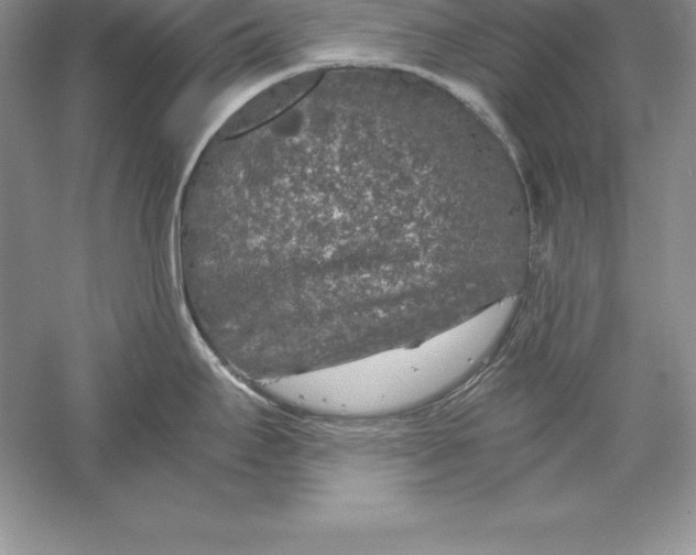 X0000055981295200509091943