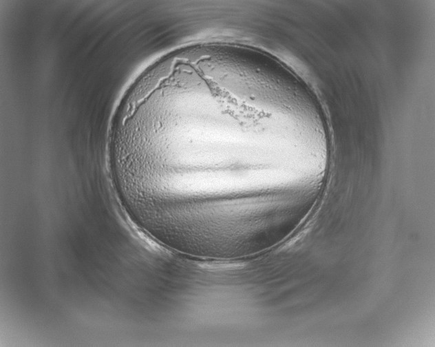 X0000055981296200509091943